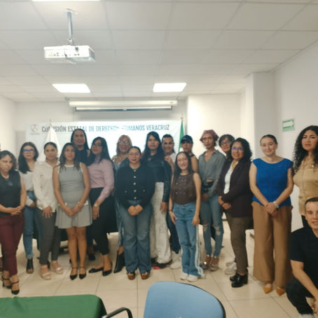 Manos en rosa participa en Mesa de trabajo Interinstitucional como parte de la Alianza Trans