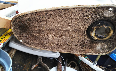 御前崎の新築 リフォーム リノベーション シロアリ対策 御前崎のシロアリ