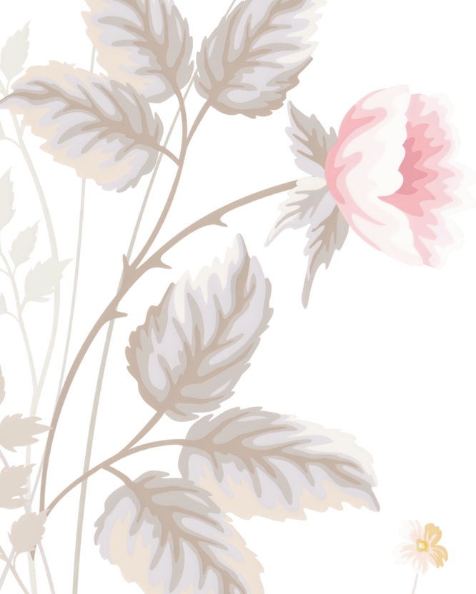 pngegg (1)_edited_edited_edited_edited_edited_edited.png