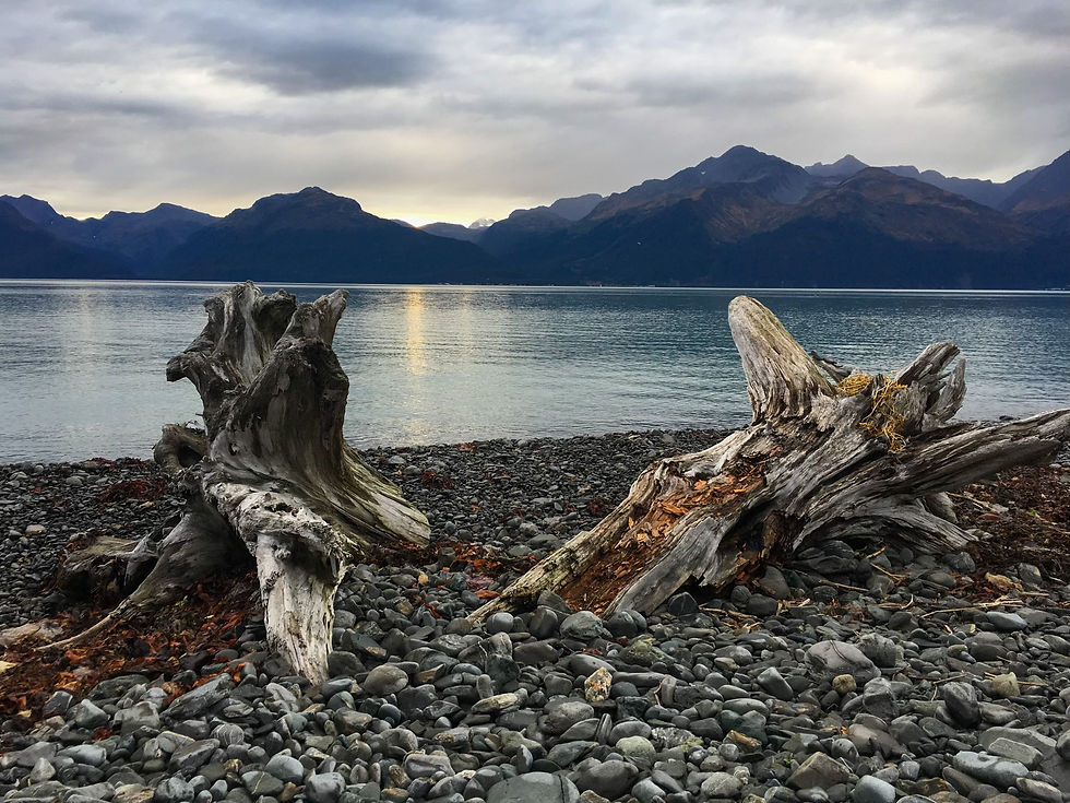 Thumbnail: Blank Greeting Card