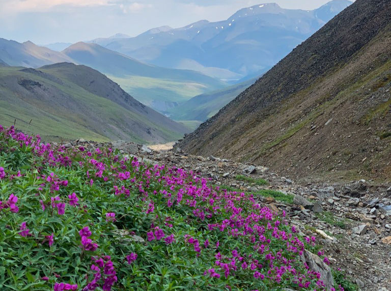 Thumbnail: Blank Greeting Card