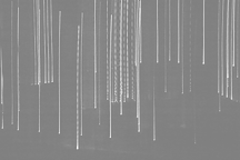 Abstract Lights