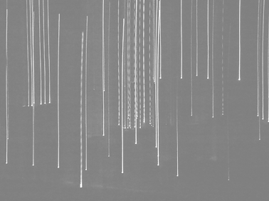 Abstract Lights