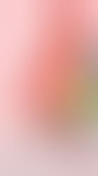 5 COMBINACIONES DE COLORES QUE, DE VERDAD, FUNCIONAN