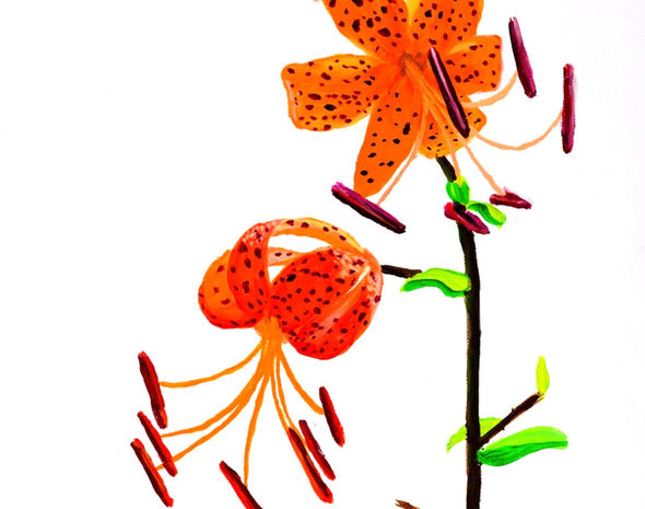 _DSC4691_edited.jpg