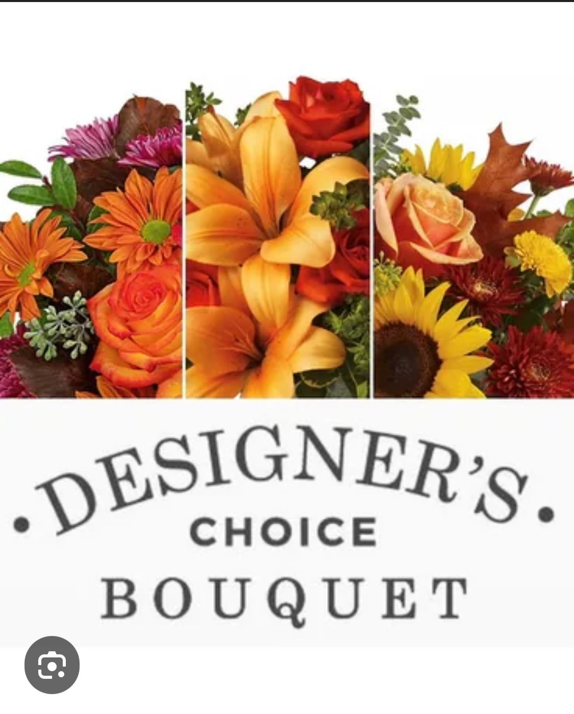 Fall Designer's Choice