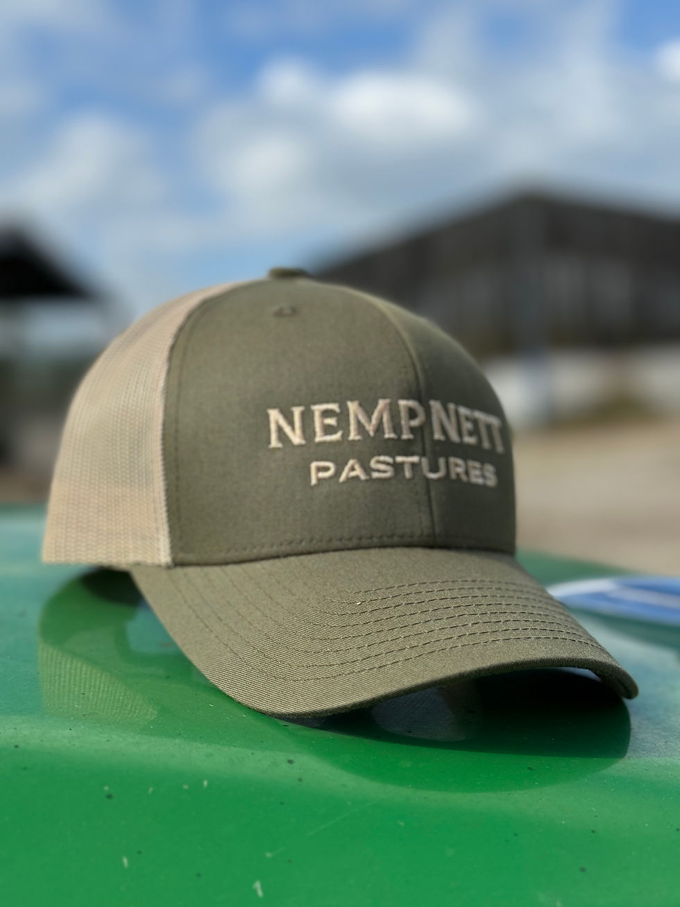 Thumbnail: Nempnett Pastures Caps
