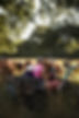 Nempnett-pastures-farm 160.jpg