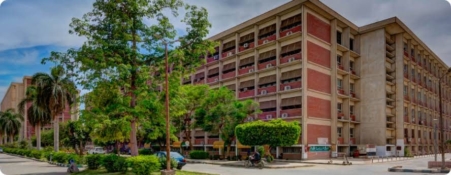 Assiut University, established in 1957, is a leading Egyptian public university, ranked 1001-1200 globally (QS 2025) and 53rd in the Arab region. It offers diverse programs and excels in sustainable development and healthcare.