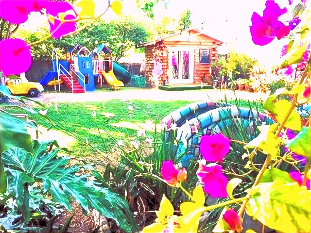🌟Tikiland Daycare & Preschool🌟
