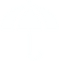 Icon Schirm vogt tools.png