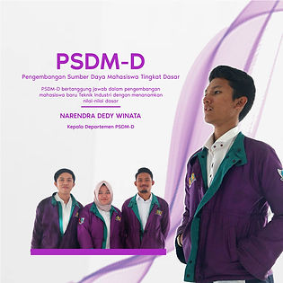 PSDM-D 10.jpg