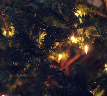 Baby Admiring a Christmas Tree