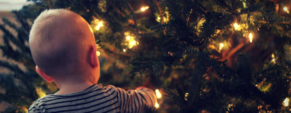 BACK OF BABY TOUCHING THE TREE