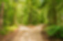 AdobeStock_117628260.jpg