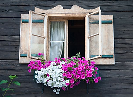 Flores ventana.png