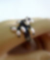 Freshwater Pearls Ring