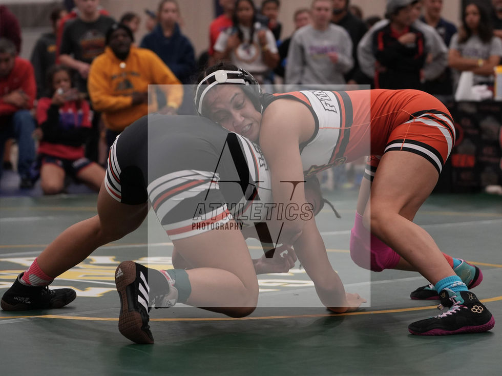 wwctoc_hs295
