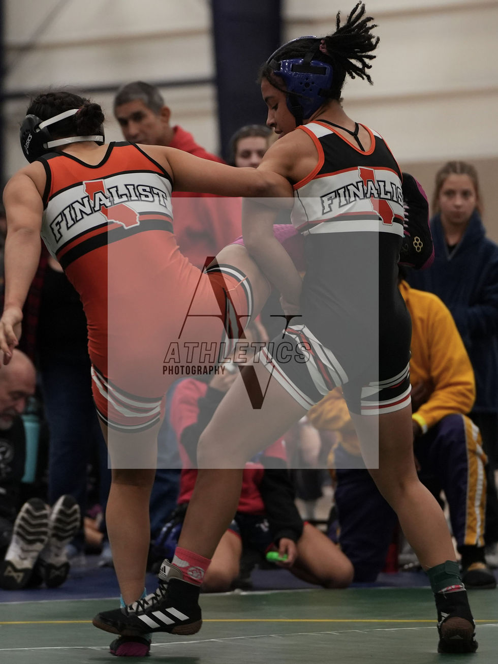 wwctoc_hs294