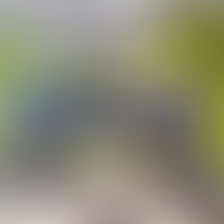 Scadenzario consegne laboratorio progettazione