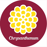 chrysanthemum2.png