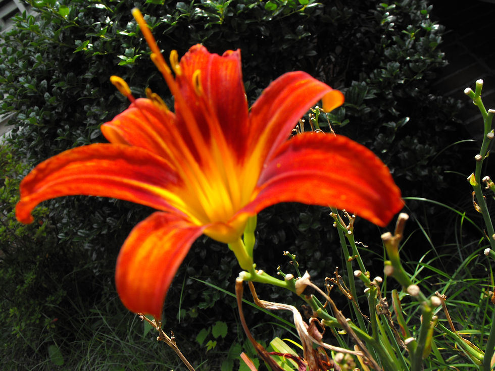 Money Matters: Financial and Legal Readiness