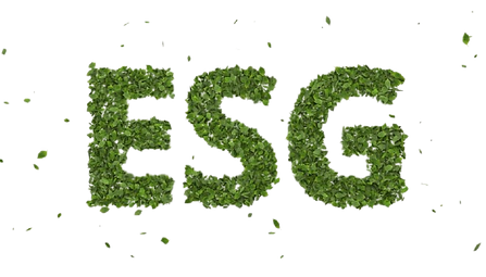 esg-removebg-preview.png