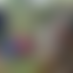 VIOLÊNCIA EM ALTO ALEGRE: Jovem é preso após agredir vizinho com pauladas na cabeça.