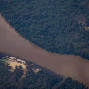 Conexão Para os Povos da Floresta.