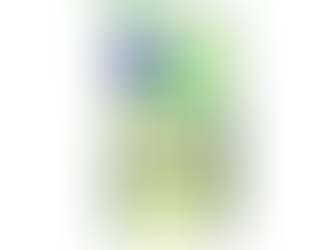 Assistência Social no Brasil: Entendendo o SUAS e o impacto da NOB-RH na garantia de direitos.