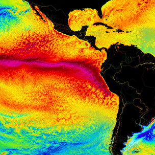 Ameaça do El Niño: Comunidades Indígenas de Roraima Reorganizam Rotina de Plantio e Manejo do Fogo.