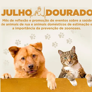 JULHO DOURADO: A Nova Lei que vai Mudar a Vida do seu Pet.