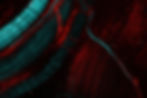 Nerve_Specific_Fluorophore.jpg