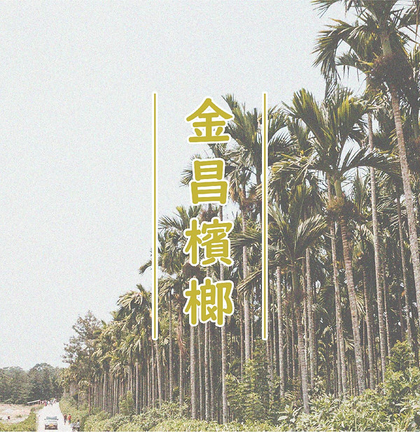 金昌檳榔賣場-名片-01-02.jpg