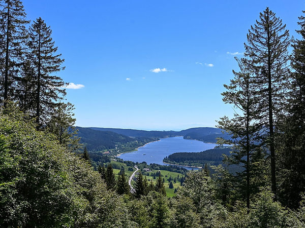 schluchsee-blick01.jpg