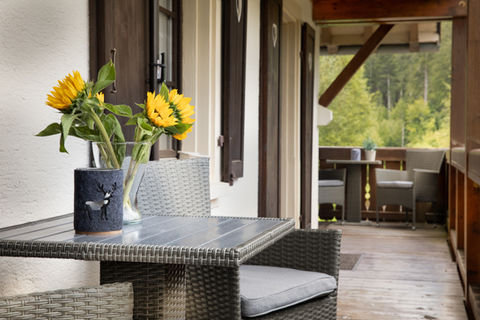 Wohnung mit Balkon im Finkenhof Schluchsee zum Vorteilspreis im Hochschwarzwald