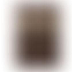 Our Top 5 Must Try Cigars