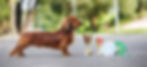 AdobeStock_121382187 copy.jpg