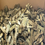 Thumbnail: USMC PC Waist Belt - Unused