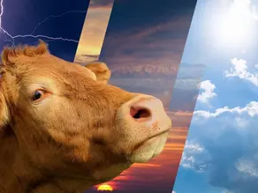 Kurban Bayramı'nda hava durumu nasıl olacak?