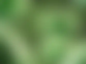 Süper bakteriye karşı umut: Yeni antibiyotik insan denemelerinde son aşamaya geçti