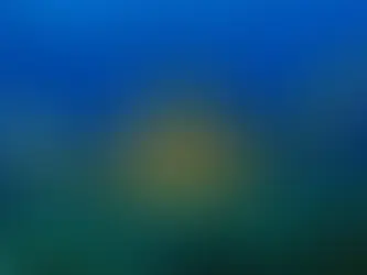 İklim krizi, yeşil deniz kaplumbağalarının yuvalama alanlarını tehdit ediyor