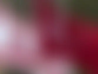 Türkiye ve KKTC, ekonomik refah için anlaşma imzaladı