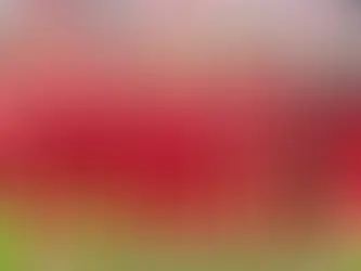 A Milli Futbol Takımı sahaya iniyor: Aday kadro açıklandı