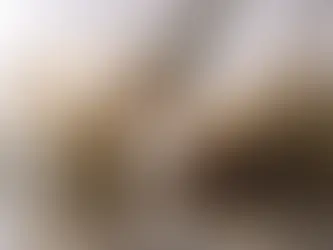 Yaşlanma karşıtı kokteyl, farelerde ömrü yüzde 30 uzattı