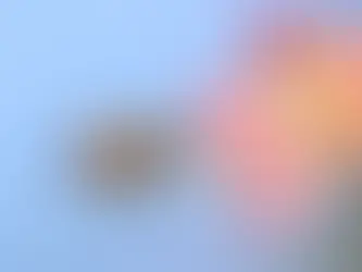 Bilim insanları alarm zilini çaldı: Arılar yeni tehditlerle karşı karşıya