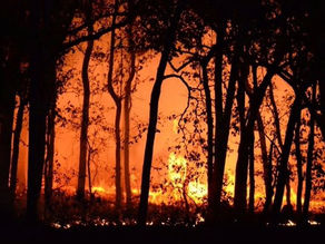 Çanakkale Ayvacık’ta orman yangını: 4 köy tahliye edildi