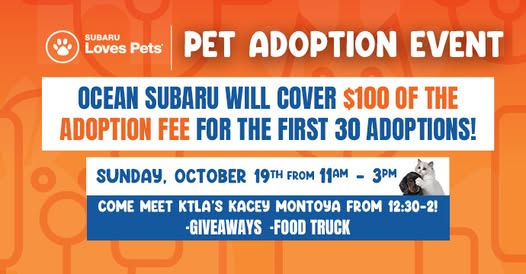 Subaru Loves Pets: Pet Adoption Event