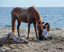 Equitation Plaisir