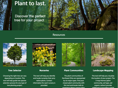 trees, nurseries, plant communities, and landscape mapping are all part of the tree selector tool we built with Cleveland Metroparks